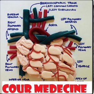 Cours en Médecine Personnalisé